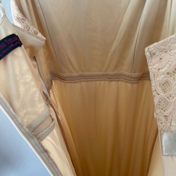 DRESS TALES Sweetheart Chiffon Aline Dress in Champagne Size Small NEW - Picture 9 of 13